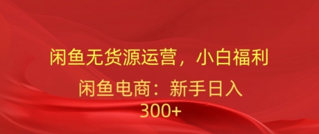 闲鱼平台无货源电商经营，新手褔利，日入300加