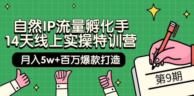 自然IP流量孵化手 14天线上实操特训营【第9期】月入5w+百万爆款打造 (74节)