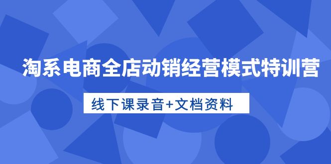 淘宝电子商务全店动销运营模式夏令营，面授课音频 档案文件