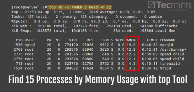 linux内存占用率过高怎么办，一招带你快速解决liunx内存问题