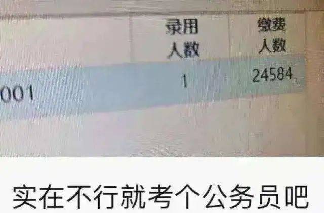 这届年轻人的_“上岸学”，看得我头大