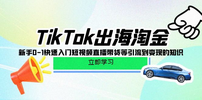TikTok出海淘金项目玩法，新手快速入门短视频直播带货等引流到变现的知识