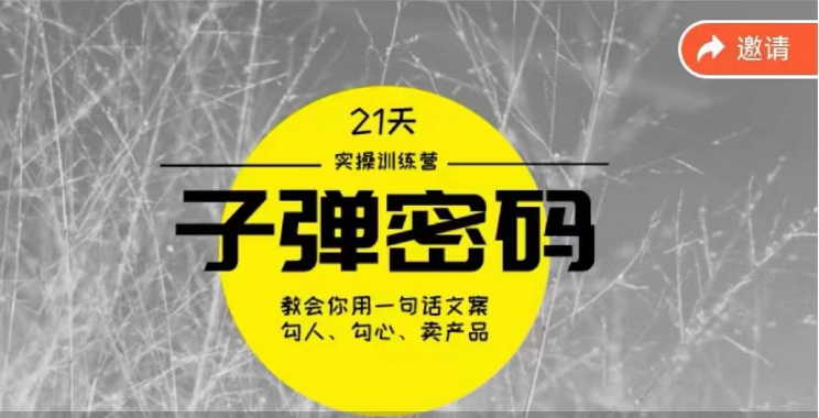 《子弹密码训练营》用一句话文案撩人勾心推销产品，21天学习到顶尖文案高手方案和方法