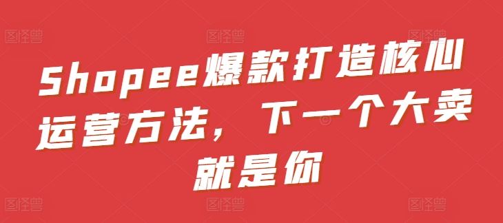 打造核心运营方法，下一个大卖就是你